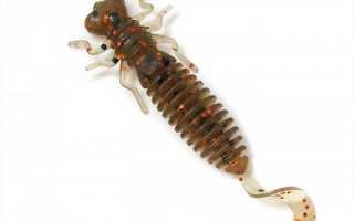 Силиконовые приманки Фанатик (Fanatik) для рыбалки и активного отдыха