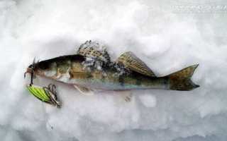 Спиннинговая приманка цикада(блейдбейт)