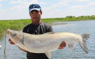 Рыбалка на озере Балхаш