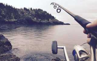 Все о болонской удочке