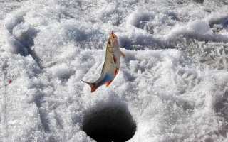 Ловля мирной рыбы