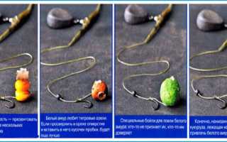 На что ловить амура в августе