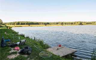Рыбалка в Чеховском районе Московской области