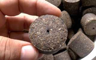 Макушатник на сазана: ловля на жмых на течении, снасти своими руками, видео