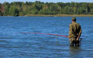 Рыбалка в Дубне