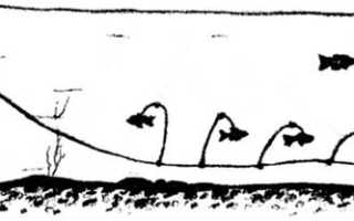 Ловля спиннингом на живца