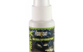 Ароматизаторы для карпа: выбор запахов по сезонам года