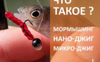 Что такое микроджиг и его особенности