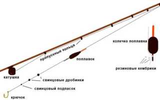Как поймать рыбу без удочки: проверенные способы ловли