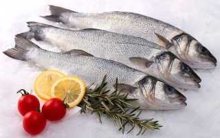 Рыба сибас: описание, места обитания и применение в кулинарии