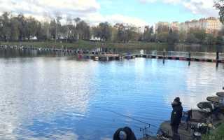 Рузское водохранилище — великолепное место для рыбалки!