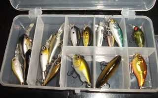 Лучшие воблеры на окуня: критерии подбора, примеры уловистых приманок