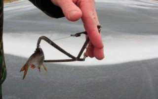 Щучий капкан: что это за снасть и как ей ловить?