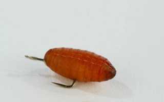 Красноперка на спиннинг