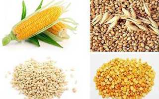 Ловля язя. Снасти и приманки