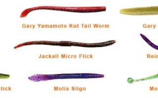 Съедобка силиконовые червяки для рыбалки и активного отдыха