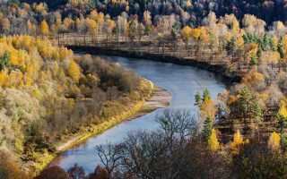 Как, где и на что ловить рыбу в реке: советы и рекомендации