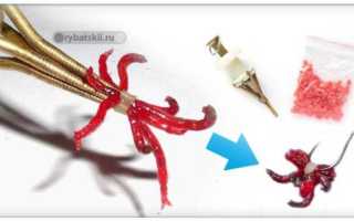 Мотыль для рыбалки