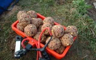 Ловля на фидер осенью