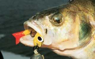 Поролоновая рыбка