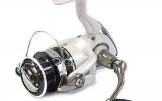 Лучшие катушки для фидера