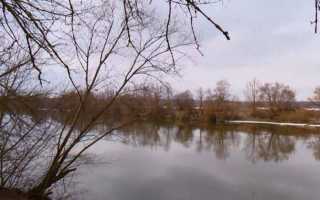 Ловля плотвы в проводку на реке видео