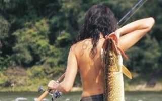 Как правильно выбрать спиннинг