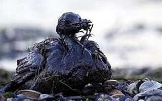 Огромный разлив нефти океан