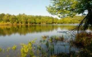 ПОПЛАВОЧНАЯ РЫБАЛКА МАХОВОЙ УДОЧКОЙ С ГЛУХОЙ ОСНАСТКОЙ НА ТЕЧЕНИИ