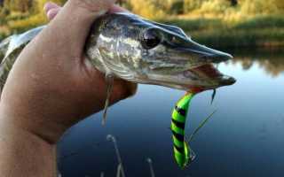 Rapala Weedless Shad