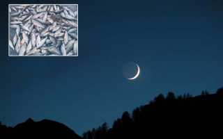 Приметы на рыбалке — народные суеверия, легенды, верования