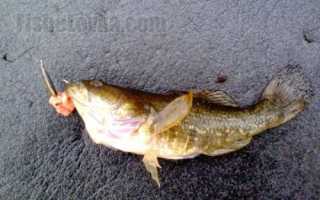 Делаем боковой кивок на летнюю удочку своими руками