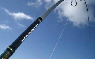 В чем отличие спиннинга от фидера. Что такое спиннинг? Фидер или карповое удилище? Что выбрать