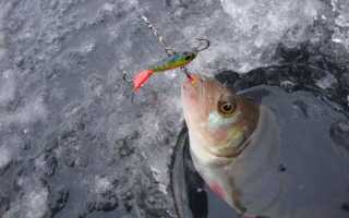 Как сделать балансир своими руками для зимней рыбалки