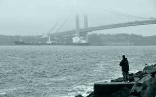 Cамодельные фидерные кормушки своими руками — инструкции, схемы, видео