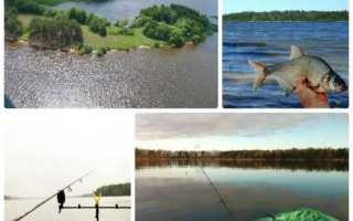 Рыбалка в Смоленске и Смоленской области