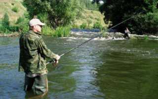 Ловля плотвы осенью на поплавок. Ловля плотвы поздней осенью видео. Осенняя ловля плотвы на фидер