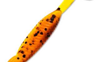 Kosadaka Osa – идеальный выбор для рыбалки