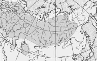 Рыбалка в проводку на течении с лодки: эффективная ловля рыбы