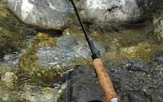 Ловля нахлыстом