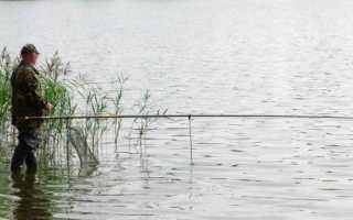 Ловля карася в июле