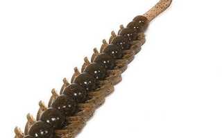 Bait Breath Bugsy для успешной рыбалки