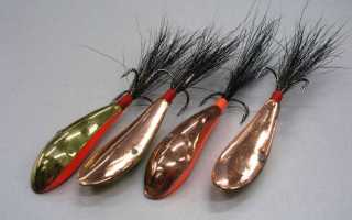 Как выбрать лучшие блесны на судака зимой и летом