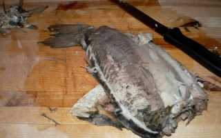 Рецепты и советы в приготовлении хе из карасей дома