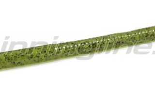 Bait Breath Vein для успешной рыбалки