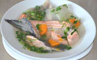 Рецепты ухи из семги