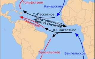 Теплые течения атлантического океана краткое