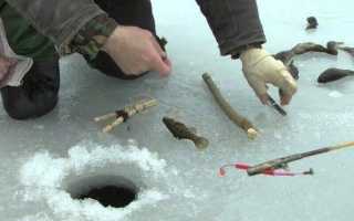 Летние жерлицы на щуку своими руками