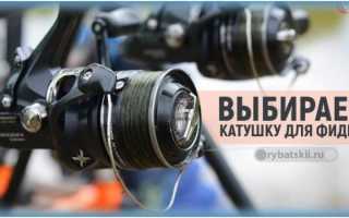 Как ловить плотву на фидер