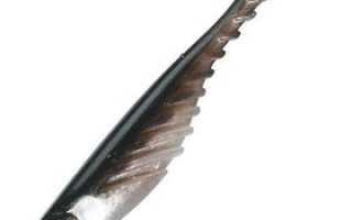 Berkley Ripple Shad для успешной рыбалки